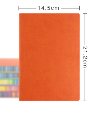 RuiZe cute korean notebook A5 leather diary school note book journal daily memo hardcover notebook thick paper rainbow edge: Orange