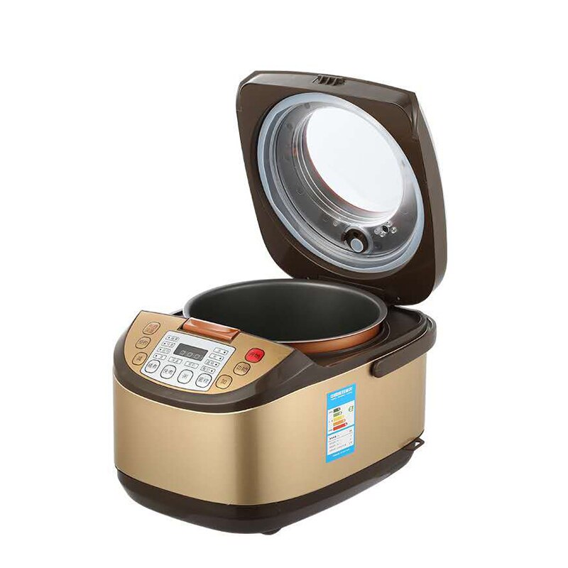 DMWD Transparent Lid 5L Home Intelligent Rice Cooker 220V 900W Multifunctional Electric Pot Yogurt Cake Machine 24H Appointment