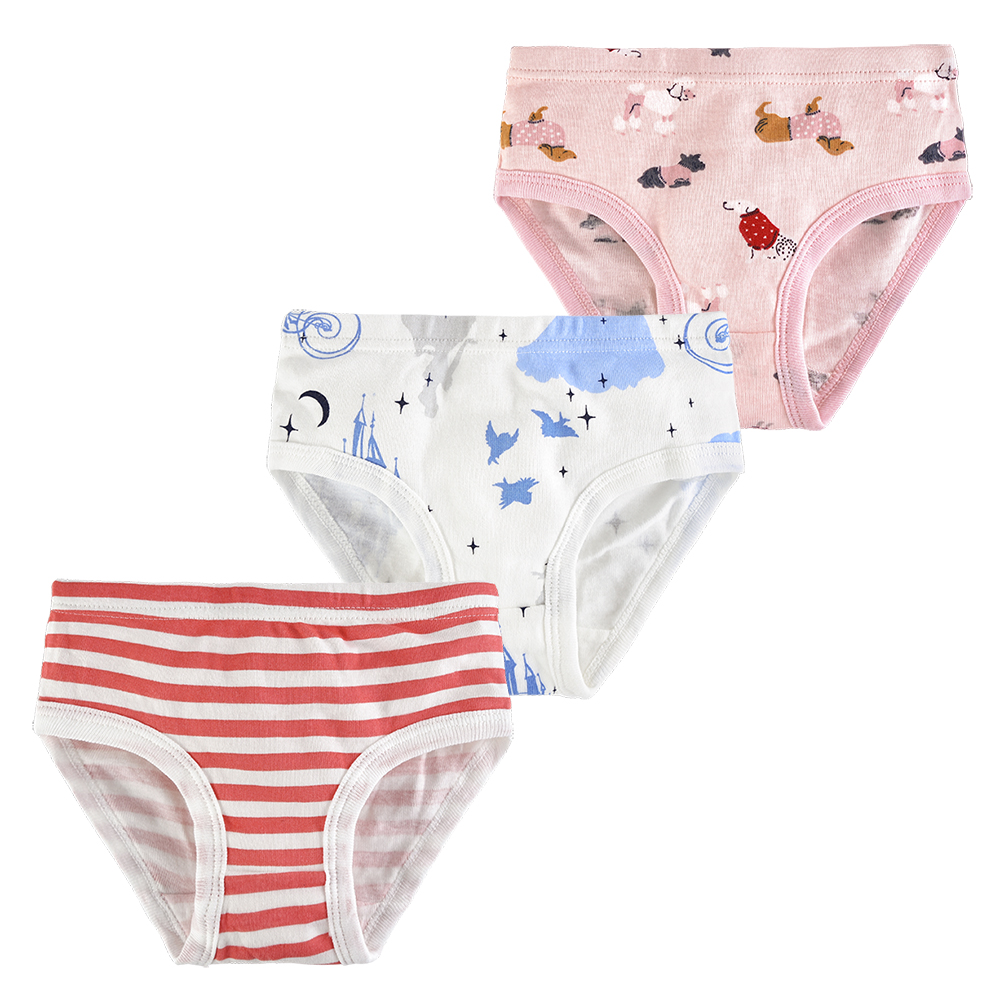 3 Pcs/Lot Cotton Young Girl Underwear For Teenage Girls Briefs Kids Girls Shorts Panties Underpants 3-10T: 4-5 Years old