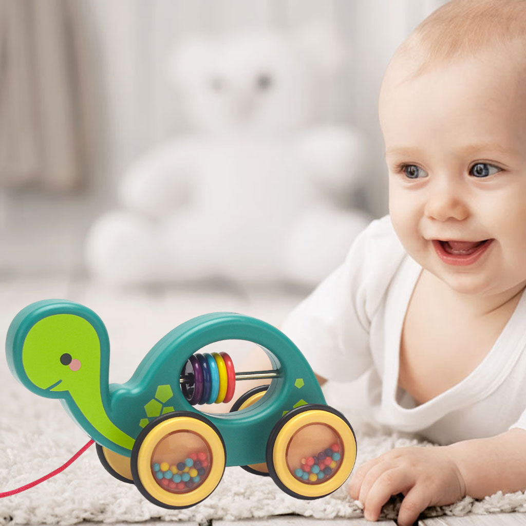 Toddler Push &amp; Pull Toys, Pull-Along Baby Toy with Rustling Wheels, Push and Pull Action, Early Toy, Best Birthday