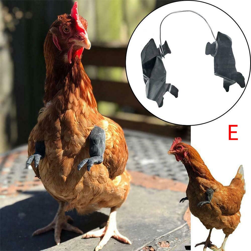 Juguete para manos de pollo, de broma, casco para gallinas, decoración divertida de aves, músculos, juguetes con brazos: E