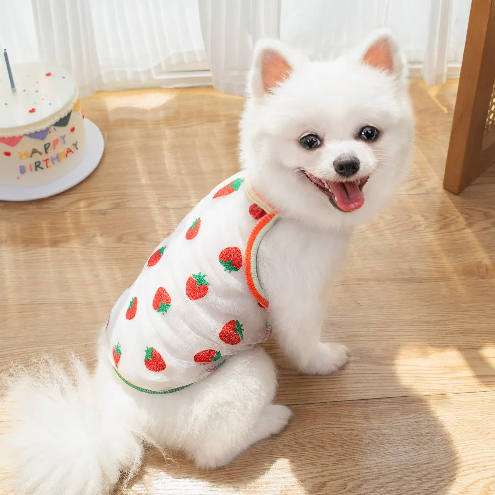 Ropa de verano para perros, chaleco fresco de princesa para cachorros, camiseta fresca transpirable, Ropa de Pomerania para Chihuahua, Perro, Ropa para mascotas y gatos