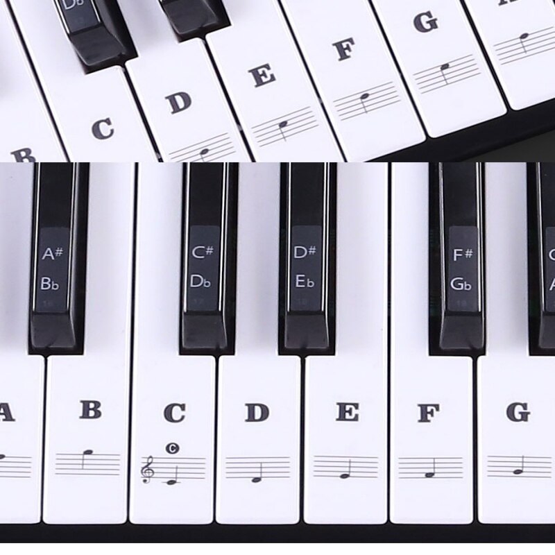 49/54/61/88 color Transparent Piano Keyboard Stickers Electronic Keyboard Key Piano Stave Note Sticker Symbol for White Keys