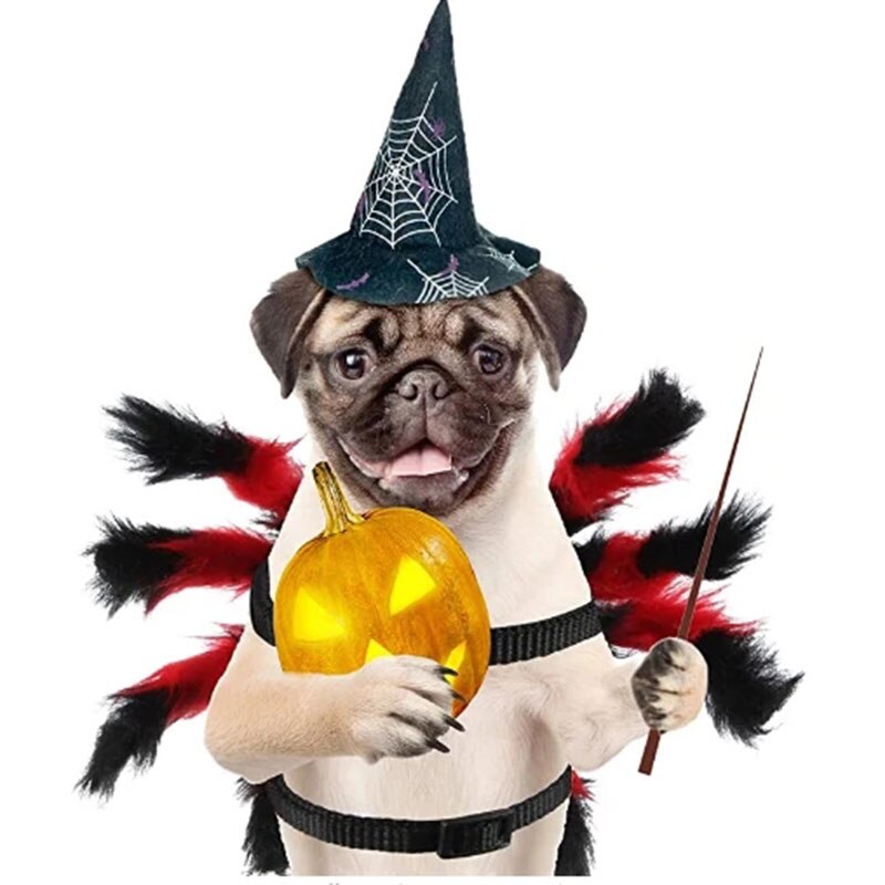 Halloween spinnenkostuum voor honden en katten halloween spinnenkostuum voor huisdieren