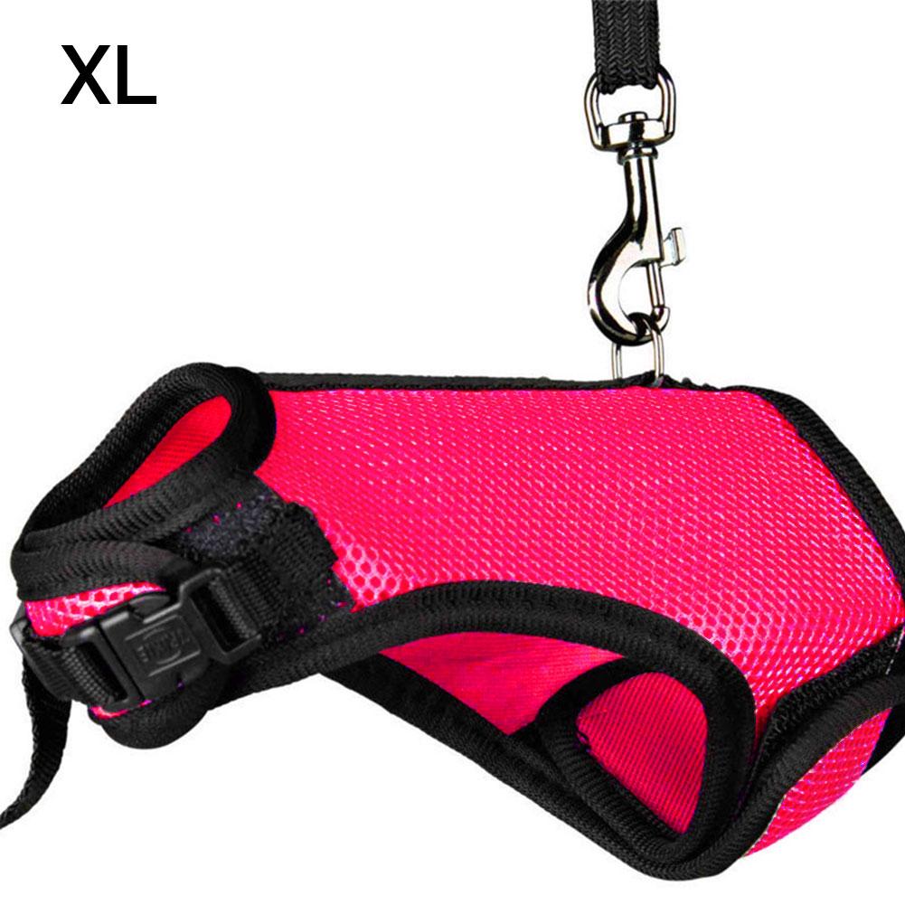 impostato di imbracature e guinzagli per conigli impostato di imbracature e guinzagli per piccoli animali morbidi per coniglietti coniglietti: scarlatto / M