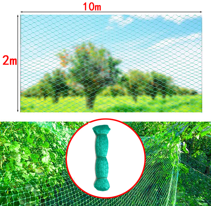 Havenet plante nylon beskyttelsesnet havebeskyttelse grøntsagsplante klatrestativ anti fuglenet: Orange