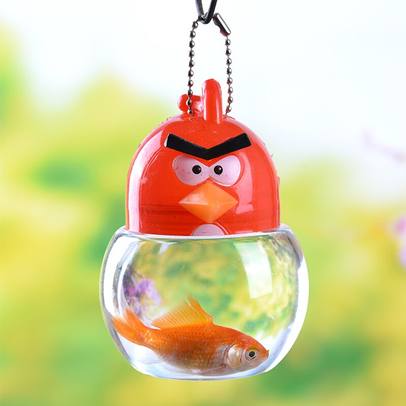 Aquarium Portable 1 pièce, boîte d&#39;élevage de poissons, Mini tortue de poisson rouge, réservoir de petits reptiles, fournitures d&#39;accessoires pour animaux de compagnie