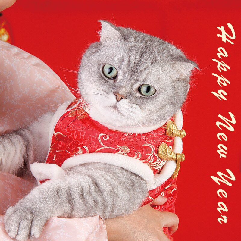Kleine Huisdier Katten En Honden Feestelijke Tang Pak Katten Warm Nieuwjaar Kleren Herfst En Winter Lente Festival Groet Jas kleding