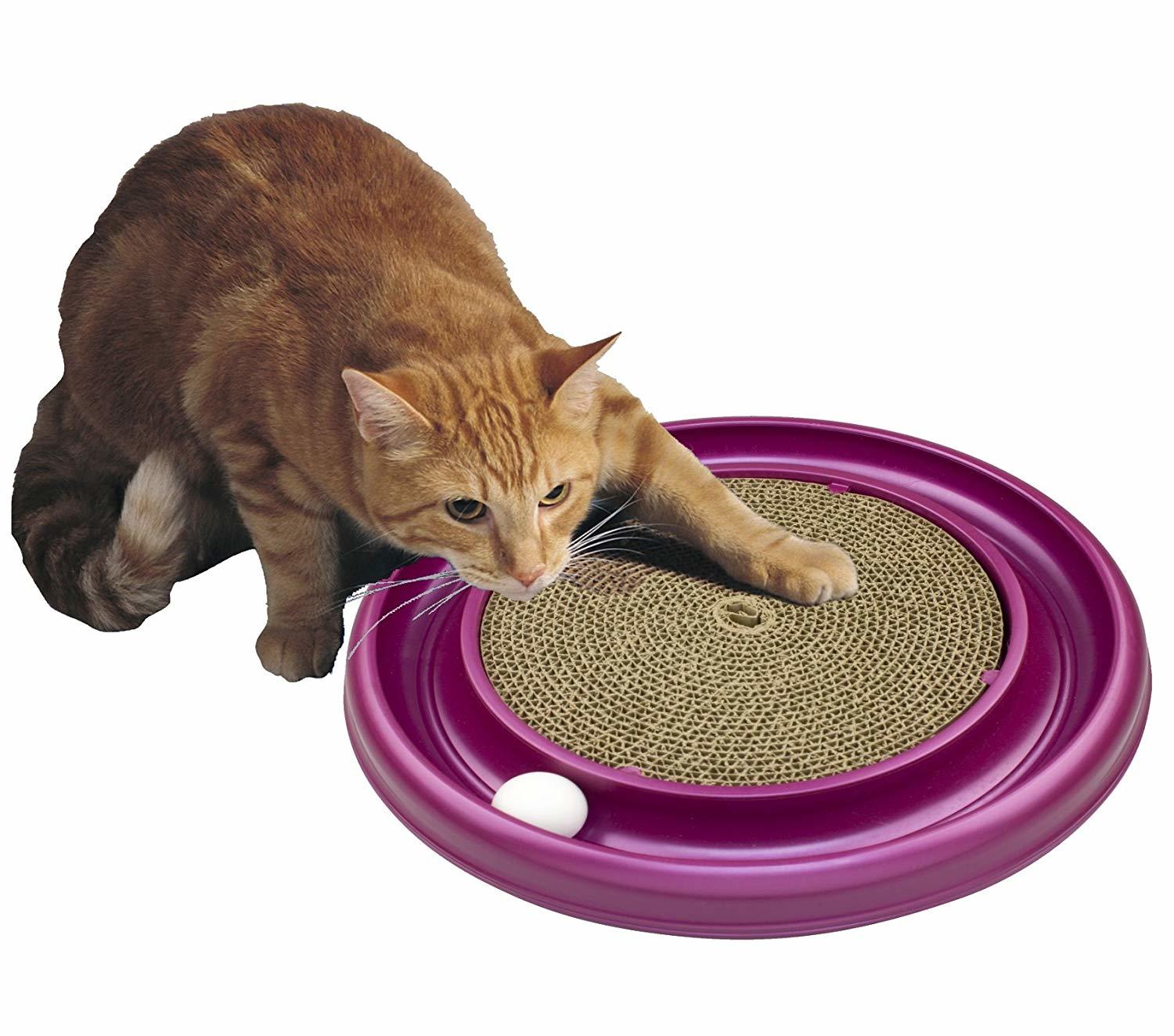 Turbo Scratcher Cat Toy, Colors May Vary