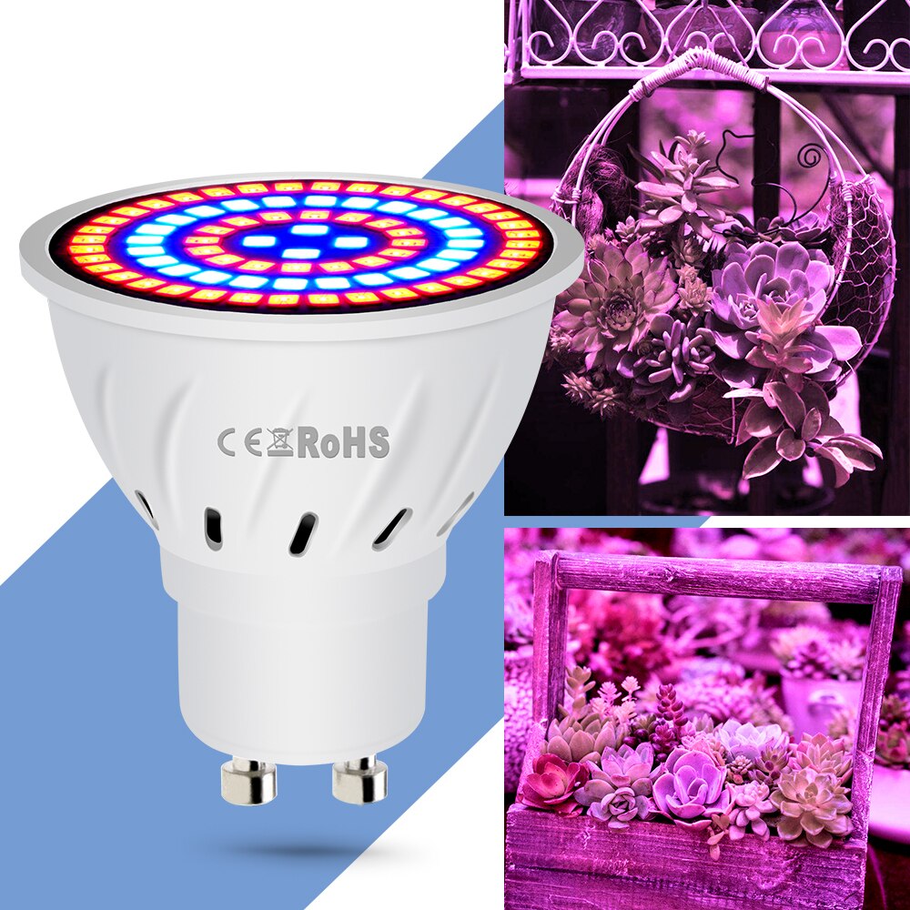 E27 LED Anlage Wachsen Lampe LED Phyto Wachstum Licht GU10 Volle Spektrum E14 Gewächshaus Beleuchtung B22 Wachsenden Phyto Licht Wachsen zelt Herr16
