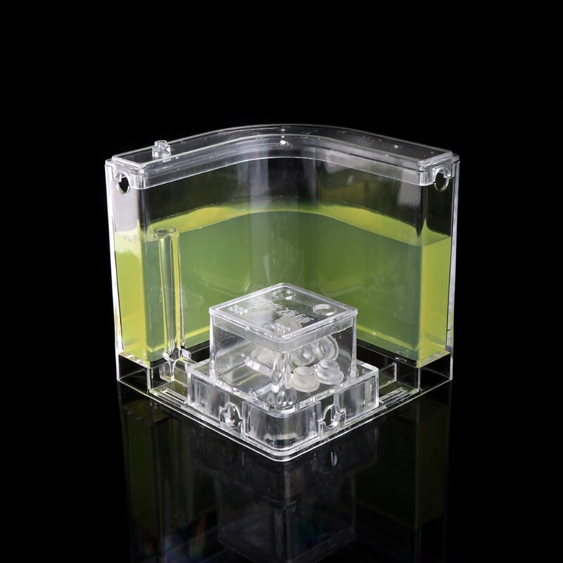 Ant Farm Gel Maze 3D Educational Nursery Live Feeding System Novelty Habitat