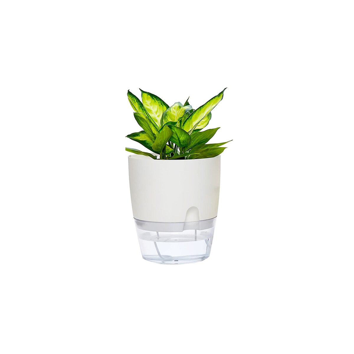 2 Layer Watering Planter Lazy Self Watering Pot Automatic Succulent Container for Flower Plant Indoor Supplies White Gray: white 8.2cm
