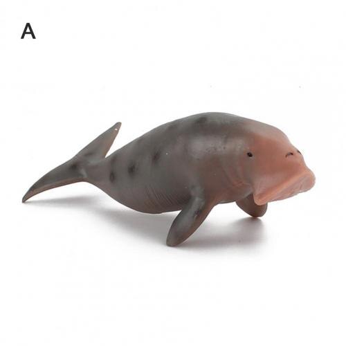 Mariene Leven Oceaan Zee Dieren Grouper Garnalen Inktvis Zeester Simulatie Ornament Simulatie Ornament Oceaan Zee Dieren: A