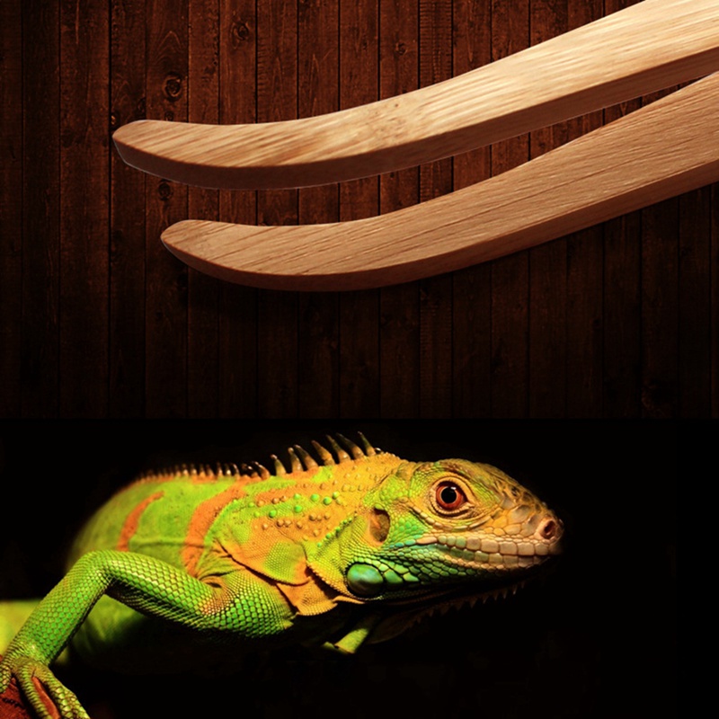 28cm extra långa träpincett för skäggiga drakar ödlor geckos matmatare multifunktionell träpincetttillbehör