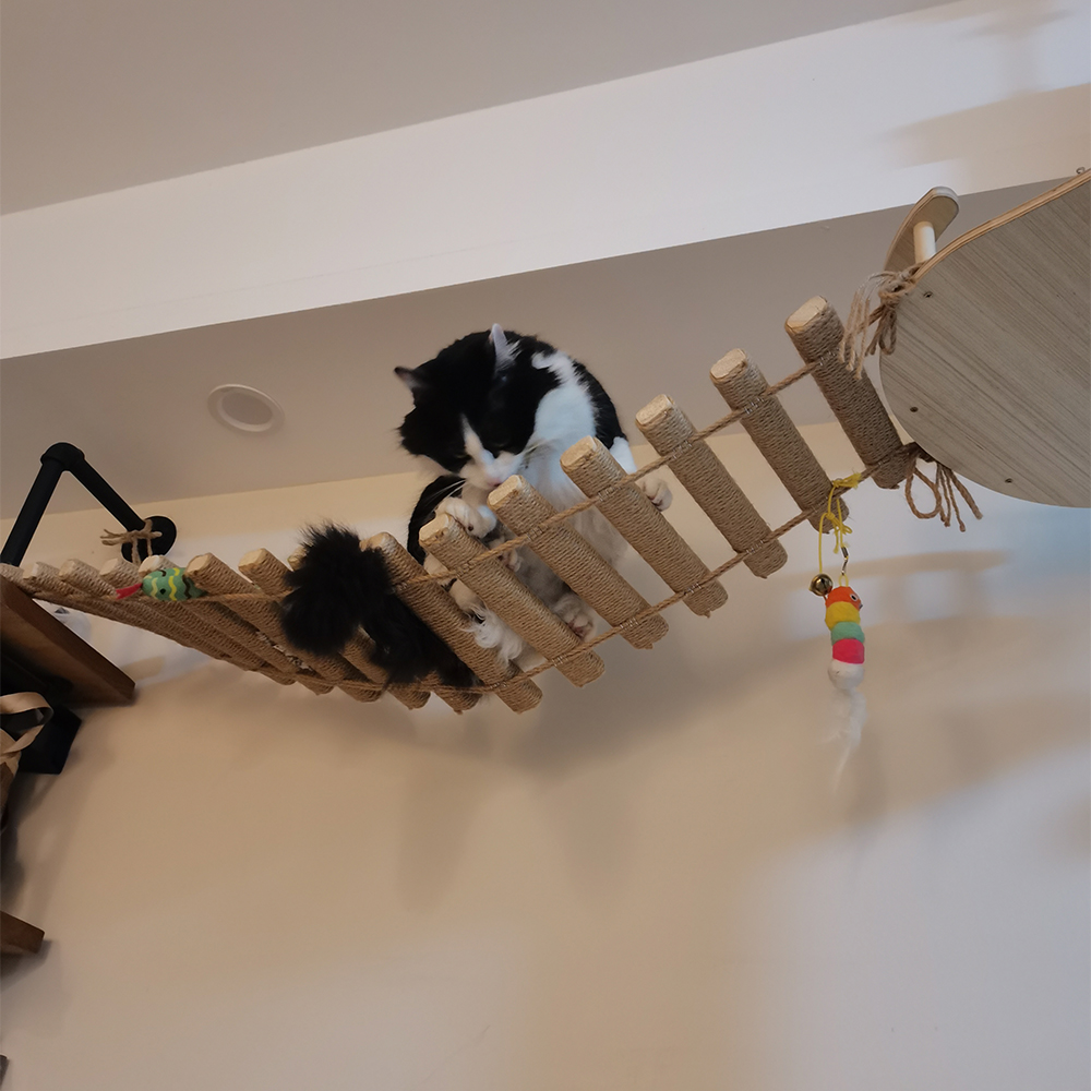 50CM/100CM Sisal Seil oder Holz Leiter Katze Klettergerüst Spielen Katze Brücke Haustier drinnen draussen möbel Katze Liefert