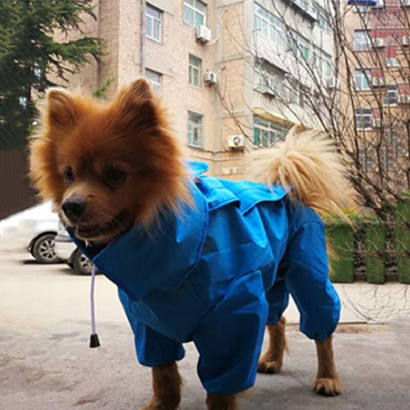 Chubasquero para perros pequeños todo incluido, ropa impermeable para perros cachorros, abrigo para exteriores, chaqueta de lluvia para perrito de Mascota, poncho de perro mediano: Azul / L