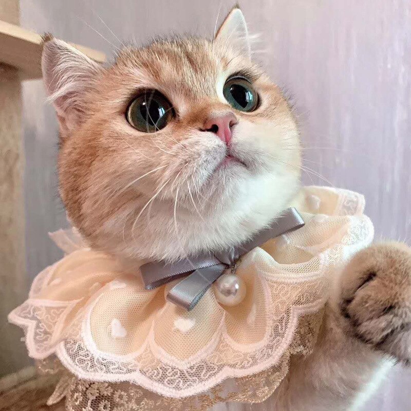 Pet Lace Bib Cat Dog Photography Props Rabbit Collar Bell Accessories Saliva Towel Pearl Pendant Adjustable
