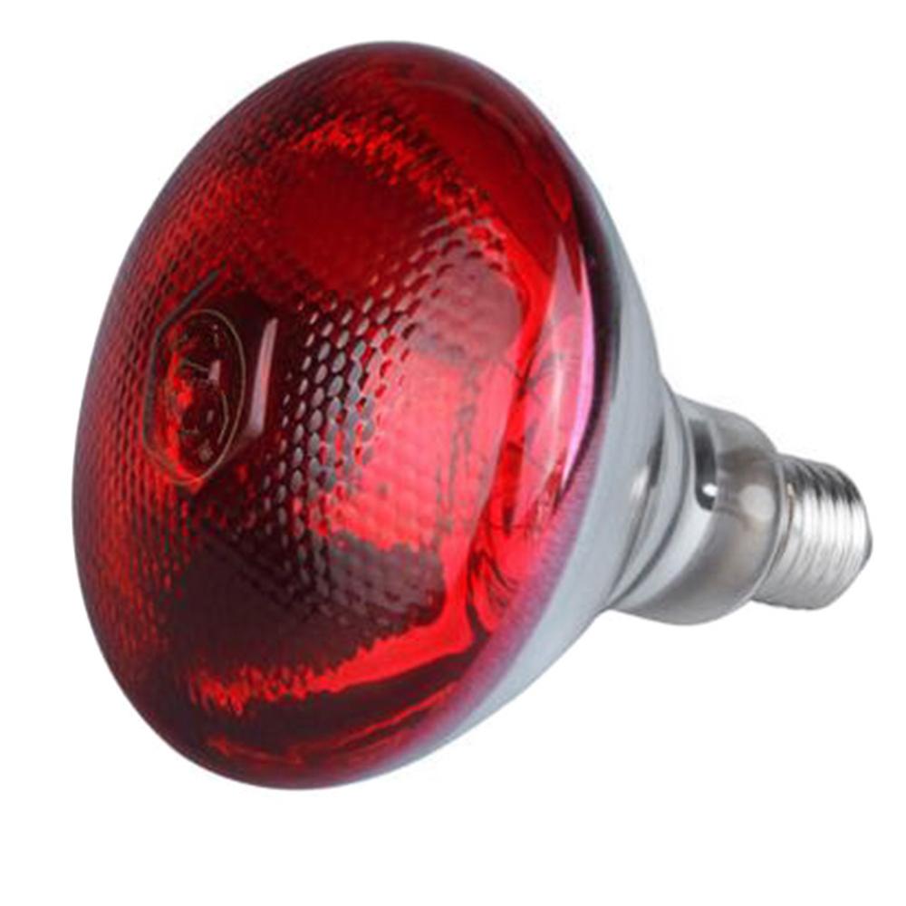 Lámpara de calor infrarroja para aves de corral, 100W, 150W, 200W, 245 V, polluelos resistentes al agua para incubar cachorros, Bombilla de lechón para pollo