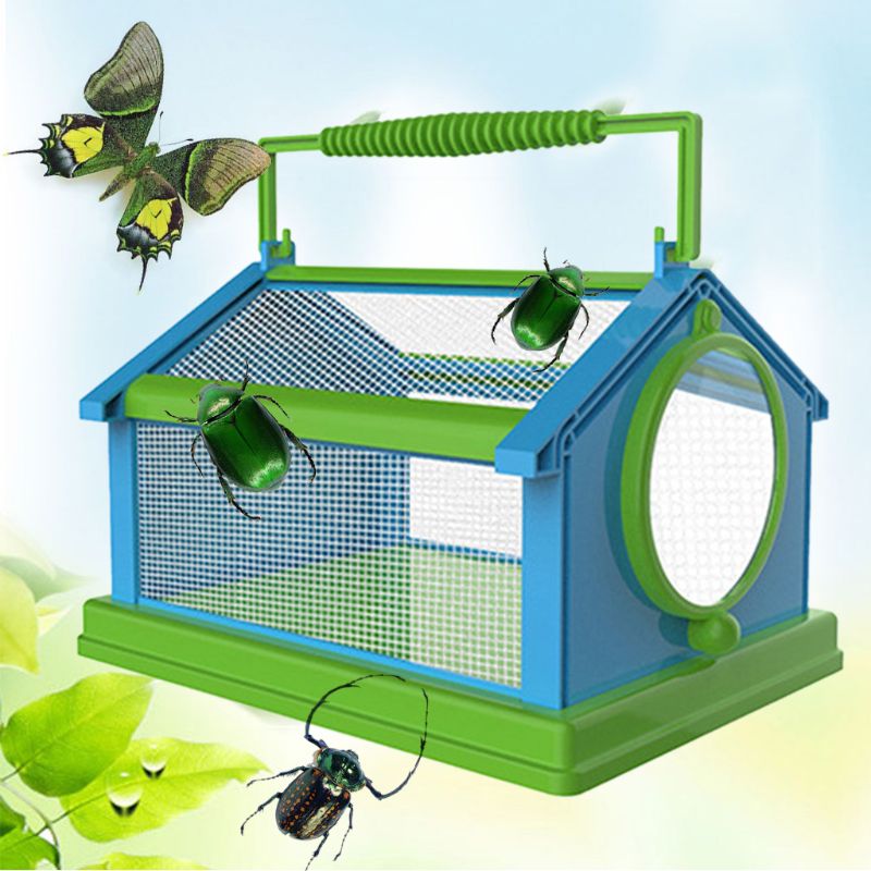 Portable insecte papillon Habitat Cage Terrarium pliant extérieur insecte visionneuse