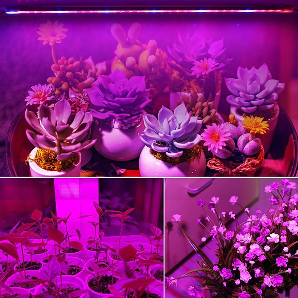 Komplett sett vokselys ledet fullspekter bar  t5 -rørs lampe plantas dyrkingslys til planter jardin drivhus hydroponics