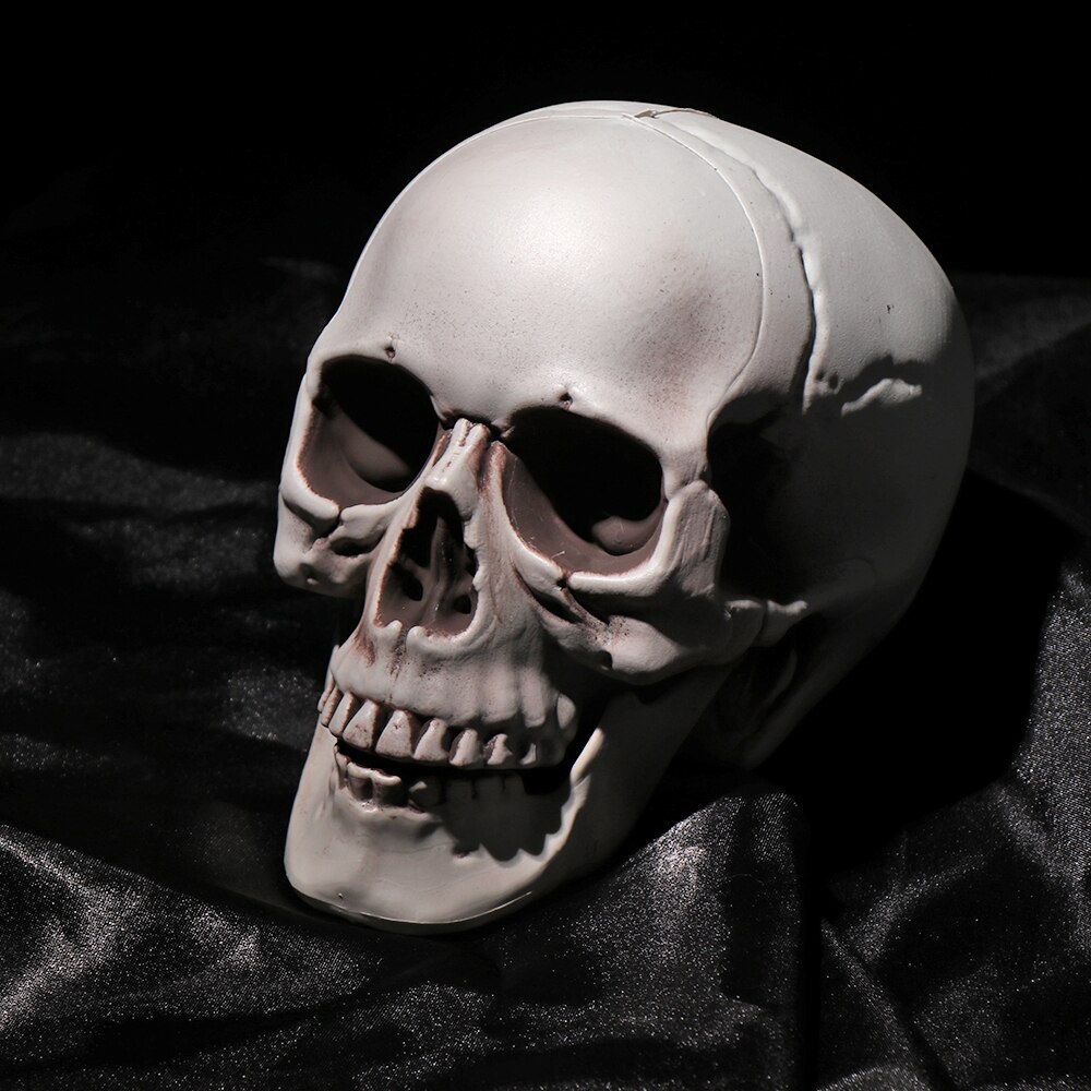 Halloween Props All Size Skeleton Head Skeleton Halloween Style Photo Prop Home Party Decor Game Supplies