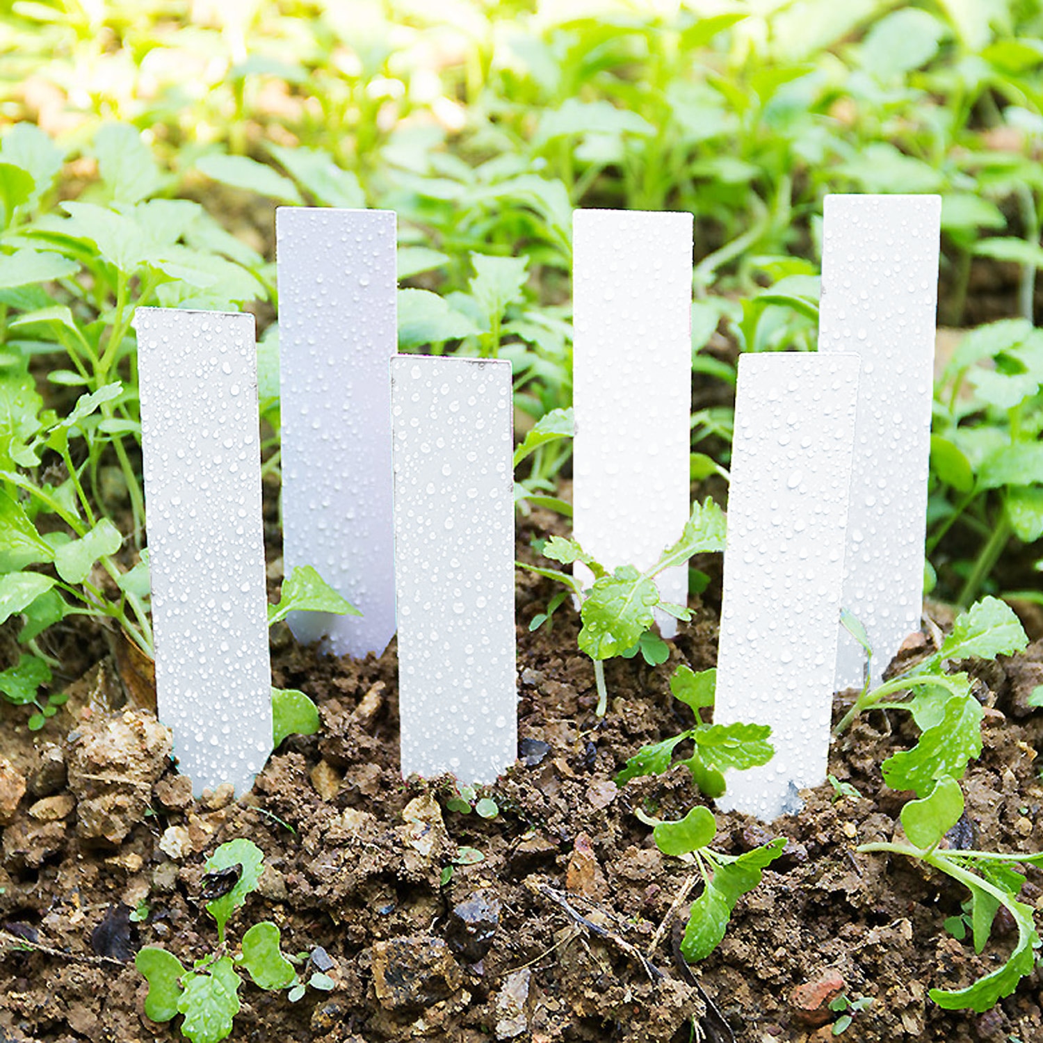 100 stk planteetiketter vanntett plast hage plante skiltetiketter innsats til planter blomster grønnsaker hvit 5 x 1cm/10 x 2cm