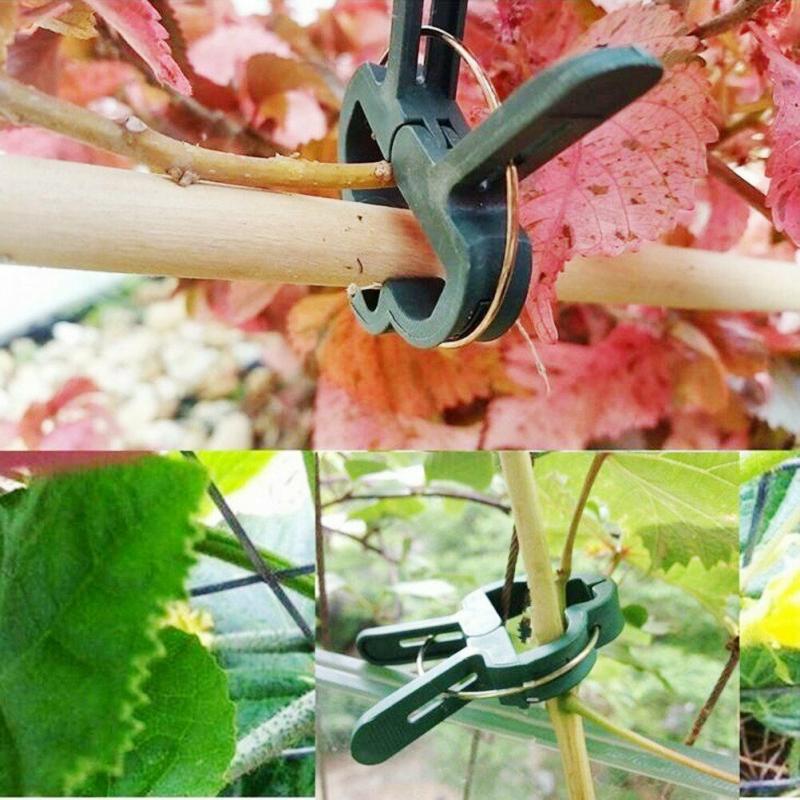 20 stk. genanvendelig planteklemme af fjedertype haveklemme understøtter haveværktøj til drivhusblomster til stængler og vinplanter