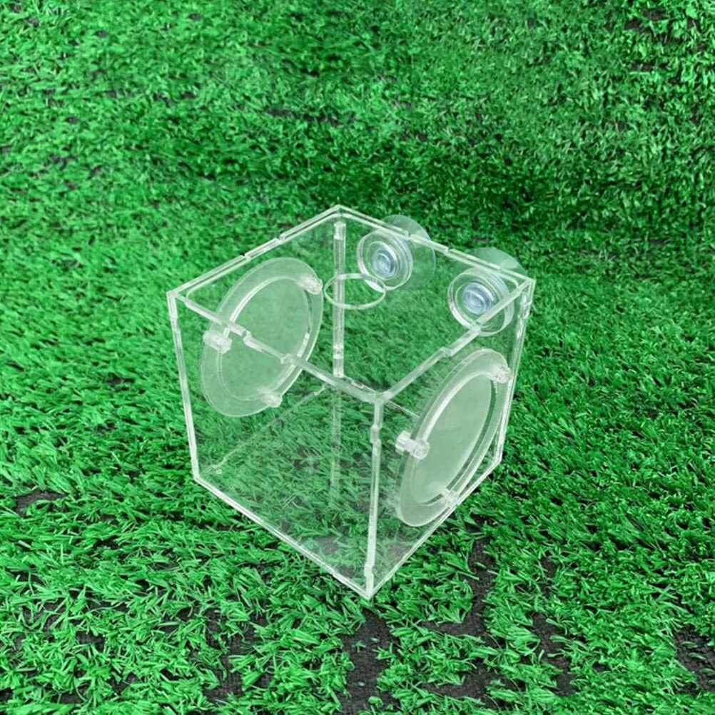 Acrylic Fish Breed Box Fish Egg Breeding Case Fish Isolation Case Aquarium Incubator