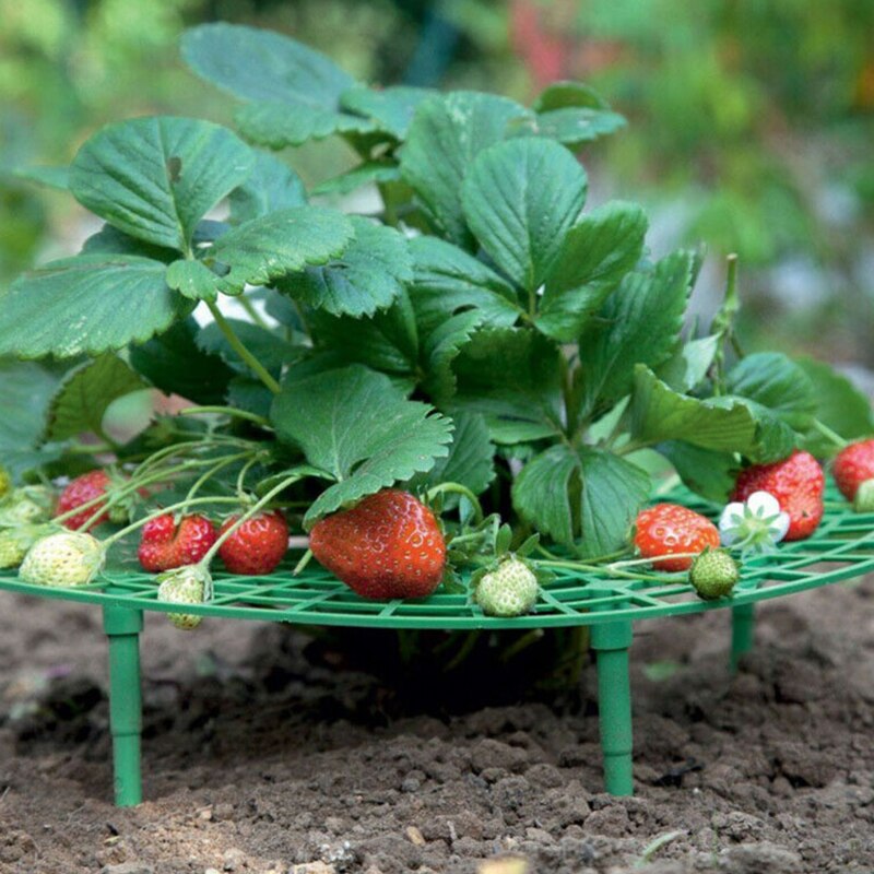 20Pcs Strawberry Stand Planting Frame Fruit Support Planting Rack Plant Flower Climbing Vine Pillar Plant Support Garden Stand