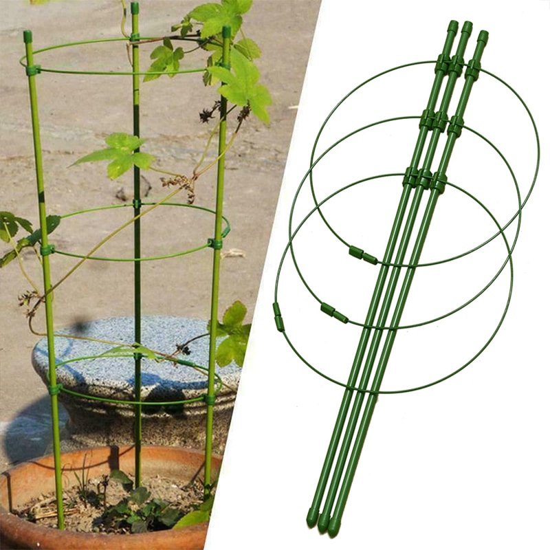 Klatreplante støtte bur hage espalier blomster stativ ringer tomat støtte  hg99