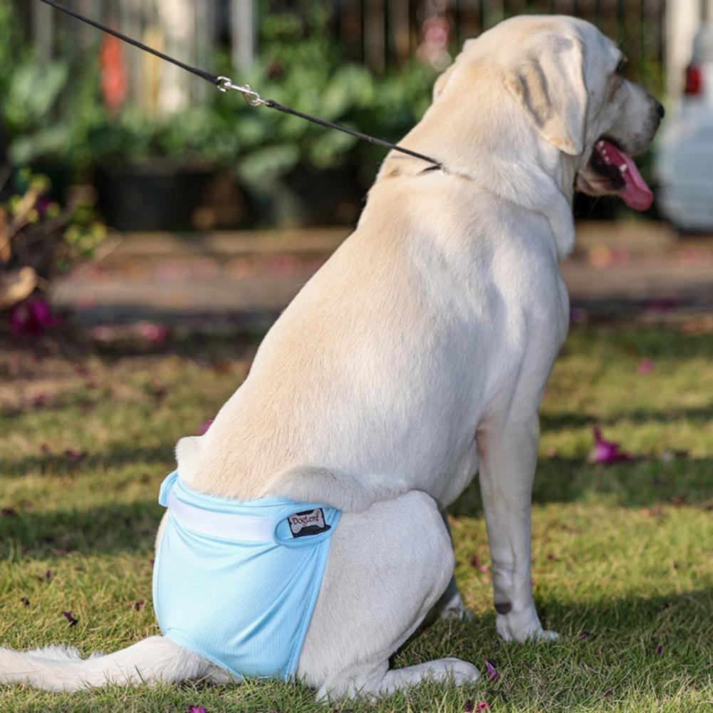 Useful Puppy Pants Soft Touching 5 Sizes Pet Diaper Pants Pet Puppy Physiological Pants for Outdoor Dogs Diapers