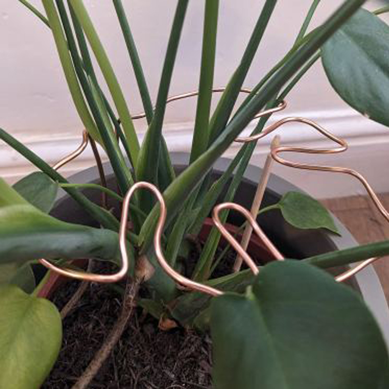 Monstera-formet plantestøttestang solid støttepinne i legering enkel montering dekorativ plantestativ for s/m plantetilbehør: Sølv
