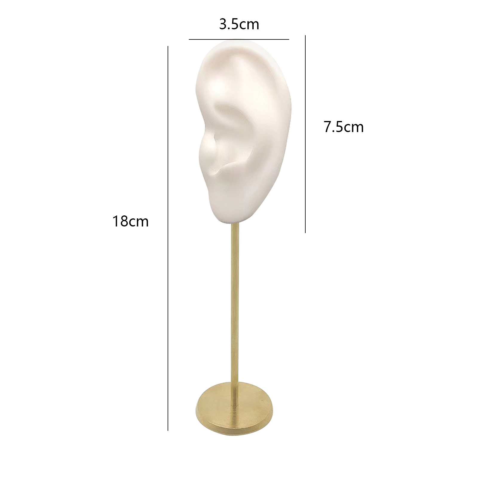 Soportes de exhibición duraderos para pendientes, modelo de oreja humana, soporte para perno prisionero, Base redonda de silicona suave, soporte para maniquí de cumpleaños, organizador de pendientes: Castaño