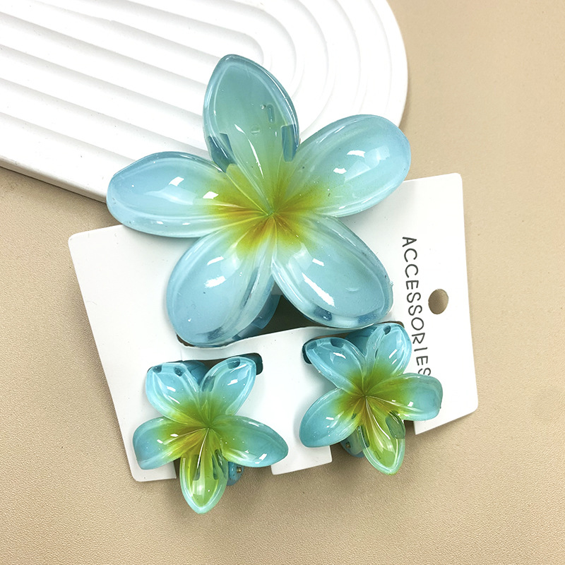 3 pièces/ensemble fleur douce dégradé coloré griffes de cheveux queue de cheval Cip pince Barrettes épingles à cheveux pour femmes fille plage cheveux accessoires: Rouge