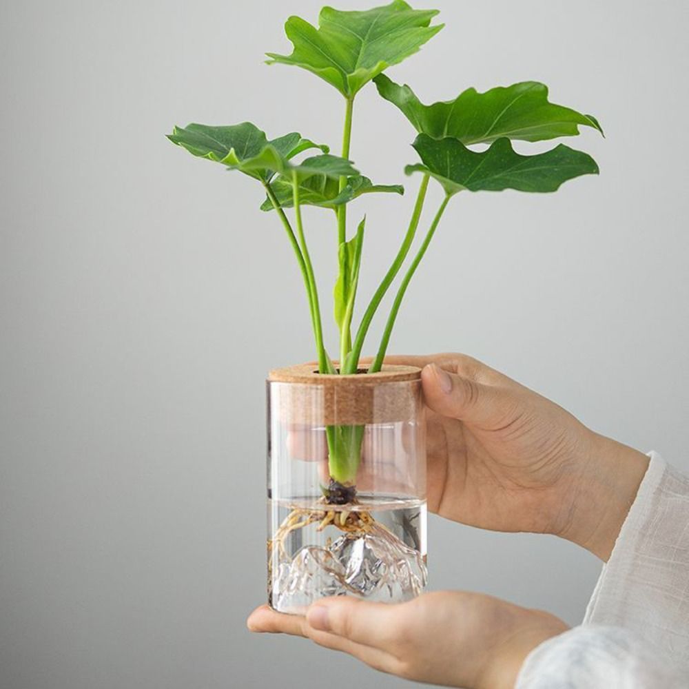 Plants Holder Glass Flower Vase Thickened Transparent Flower Pot Mini Mountain Viewing Bottle
