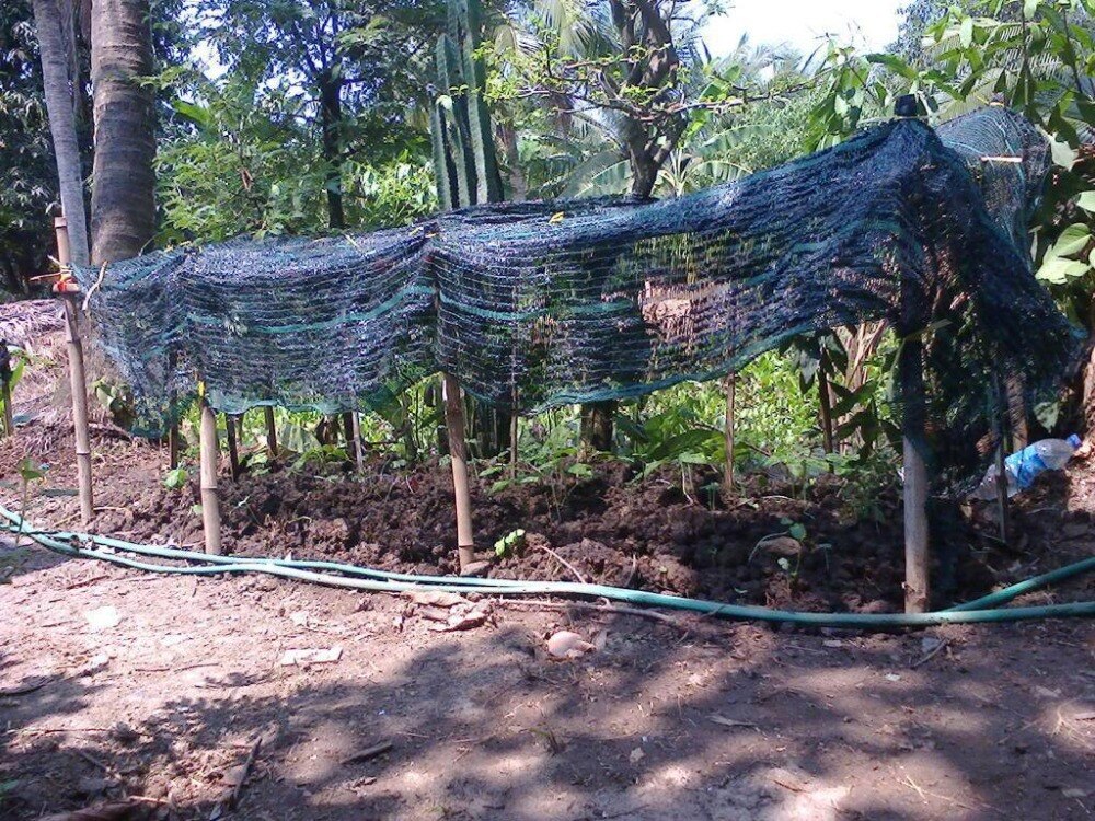 Tewango-tela solar para paisagismo, painel de malha para guarda-sol, jardim, vegetal, proteção contra o sol, 3x, 4 metros