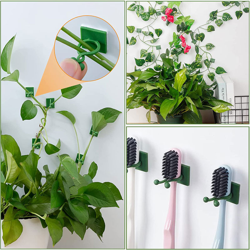 Clips de fixation murale pour plantes grimpantes, 10/30/50 pièces, fixateur de vigne en rotin, crochet auto-adhésif Invisible, Clip de liaison de jardin, Clip collant mural