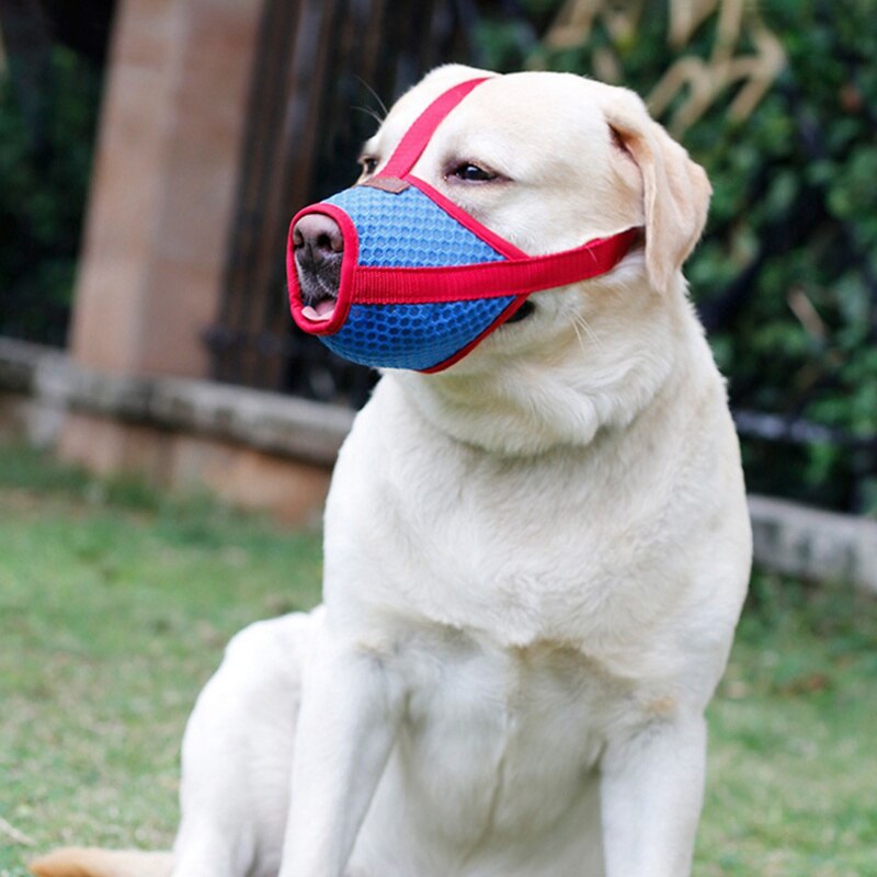 Ademend Hond Muilkorf Masker Voorkomen Bijten Blaffen En Kauwen Training Producten Huisdier Accessoires Voor Kleine Medium Grote Honden
