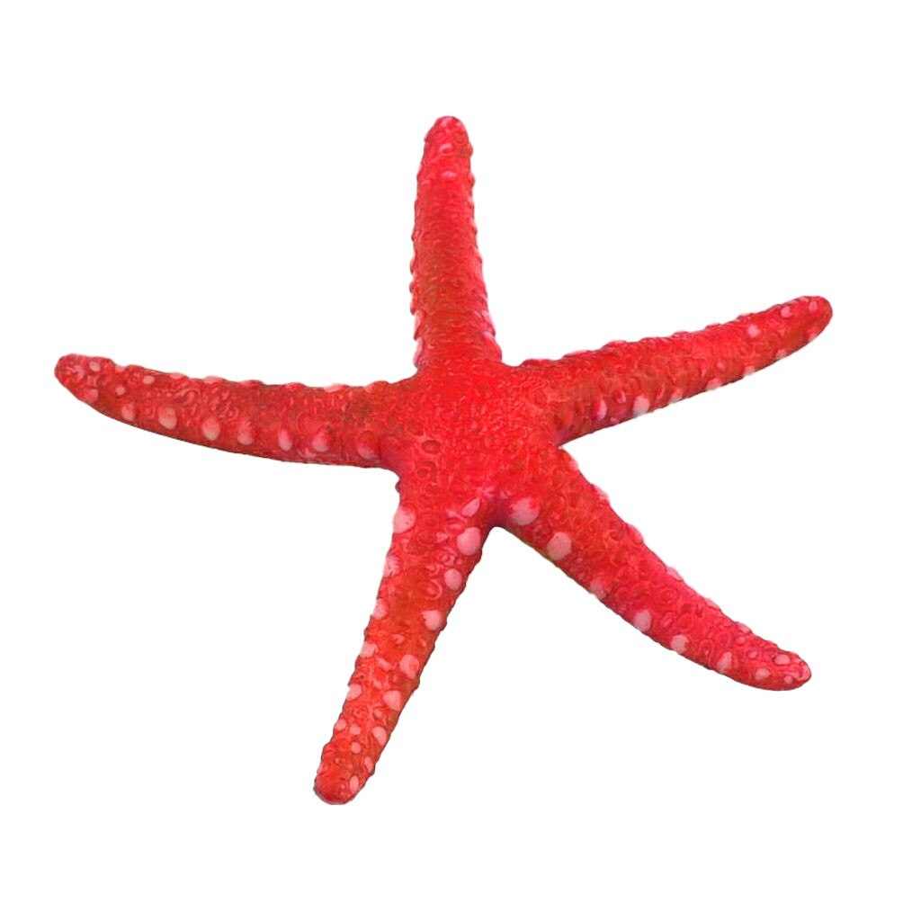 Simulation Aquarium Starfish Decoration Natural Se... – Grandado