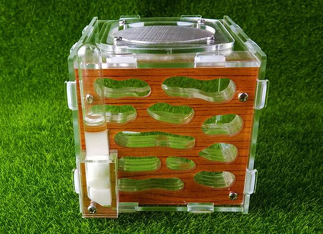 Mini Ant Housing Nest Insect Cage Farms Feed Acrylic Display Box Ant FARM Villa Small Pet Insect Cages: B