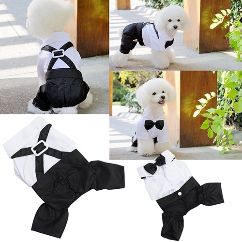 Herren Haustier Hund Katzen Kleidung Prinz Fliege Anzug Welpen Kostüm Gesamt Elegante Stil Welpen Flase Zwei Mäntel S-XXL