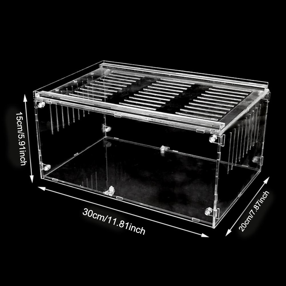 Pet Reptile Breeding Box Through Insect Breeding Box Snake Spider Lizard Scorpion Amphibian Breeding Box Crawling Pet Breeding