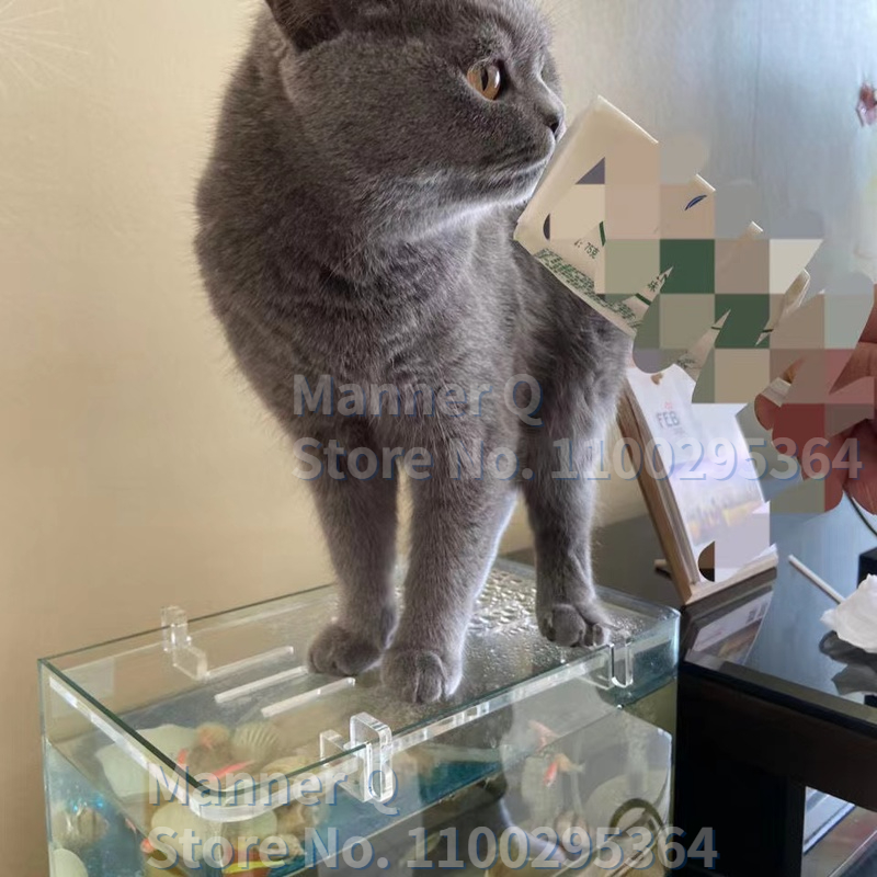 Mini Acrylic Fish Tank Glass Cover Holder Aquarium Bracket Support Frame Aquarium Accessories 4/5/6/8/10/12/15/19/25mm