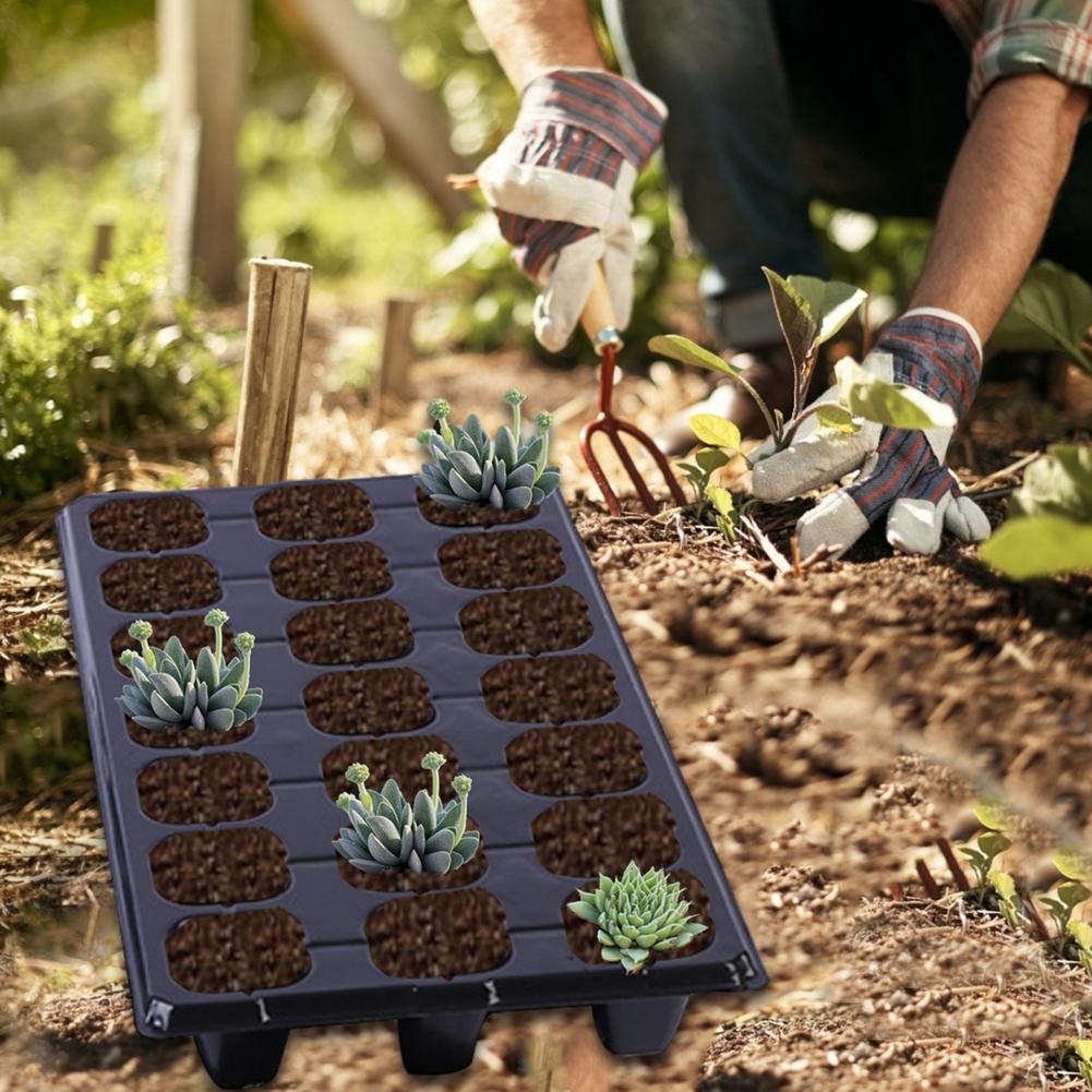Plateau de plantation de légumes succulents, grille à 21 trous, prise de plantation de légumes succulents, Pots de culture de jardin, jardinières, décoration de jardin, arrosage