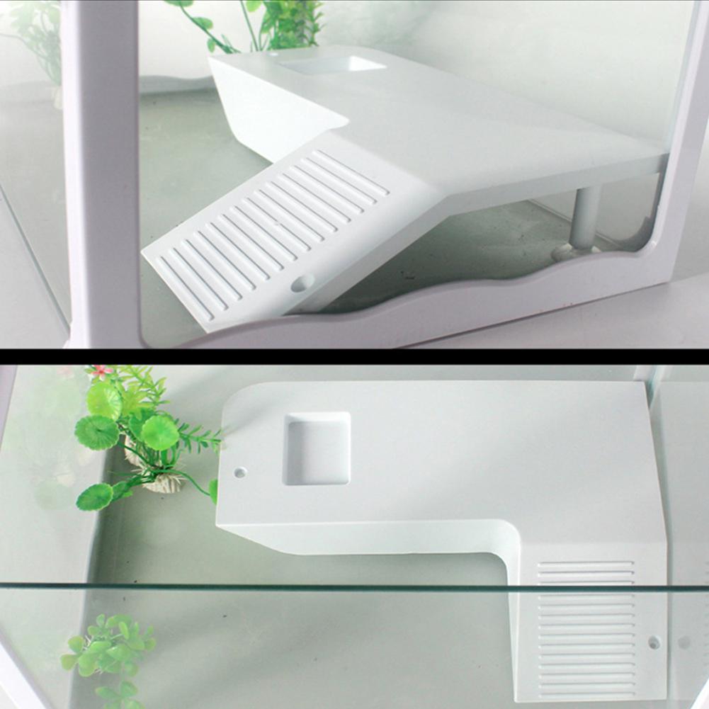Skilpadde frosk flytende øy vannlevende kjæledyr reptil forsyninger akvarium ornament skilpadde brygge reptil habitat -25