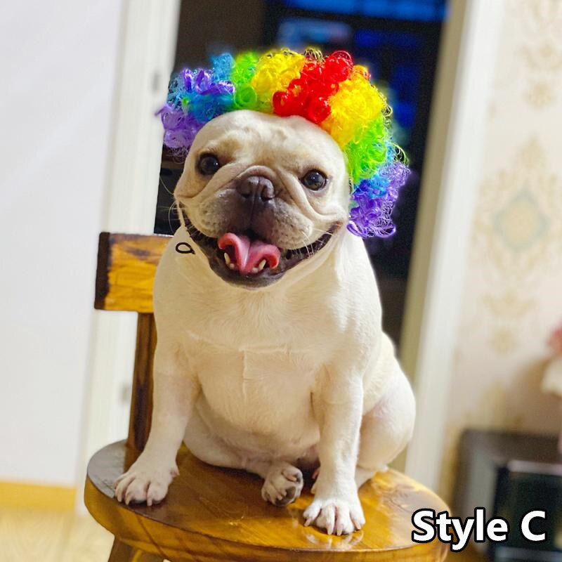 Perruque de déguisement d&#39;halloween pour chien, chapeau de Cosplay amusant, accessoire pour chien, bouledogue français, Chihuahua, d&#39;anniversaire: C