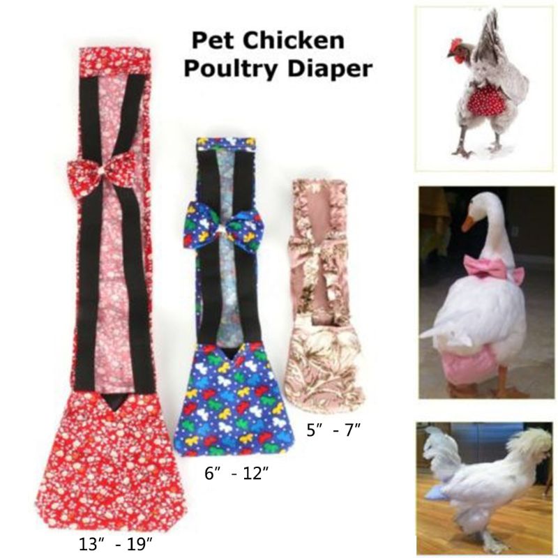 Couche pour animaux de compagnie lavable Portable Portable volaille couche canard coq poule oie Pigeon couche défécation positionnement Carapace S/M/L