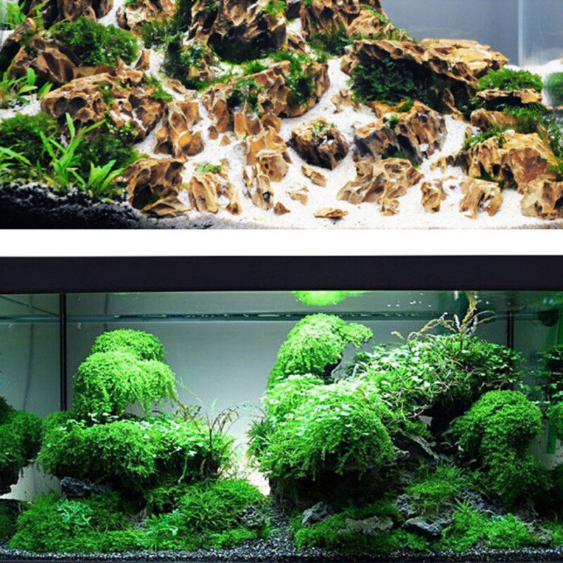 1pc akvarium landskabspleje mos kugle mos lim vand græs akvarie dekoration øjeblikkelig klæbende slim slim gel