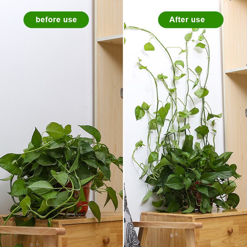 10/20/50 Pcs Invisible Wall Vines Fixture Plant Climbing Wall Clip Sticky Hook Fixing Clip Holder for Home SMR88
