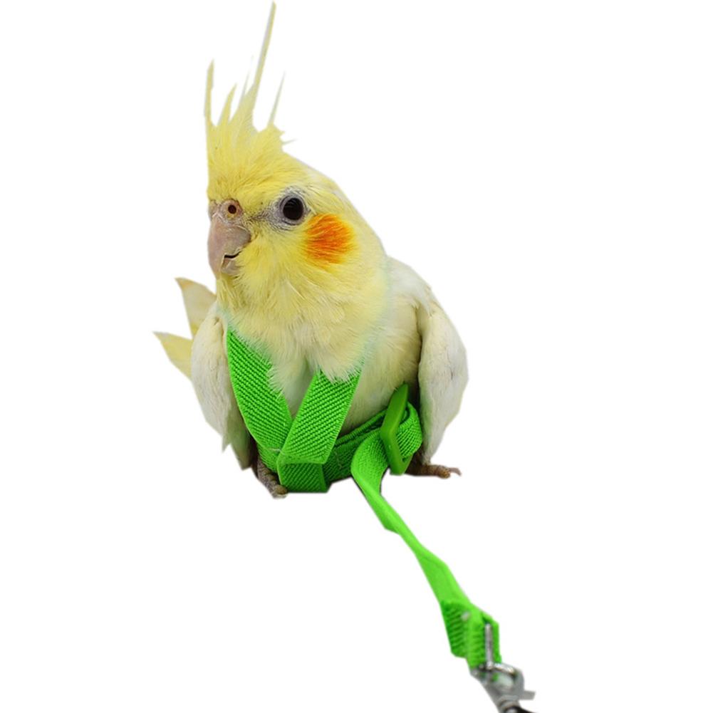 Mascota loro pájaro arnés Correa cuerda voladora correas de entrenamiento al aire libre cuerda de tracción para Budgerigar Lovebird Cockatiel pequeños pájaros